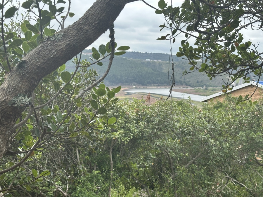 0 Bedroom Property for Sale in Bergsig Western Cape